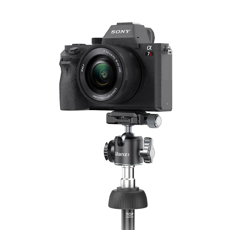 Universal Compatibility with the 1/4