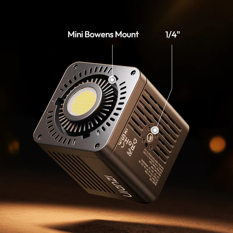 Mini Bowens Mount & 1/4