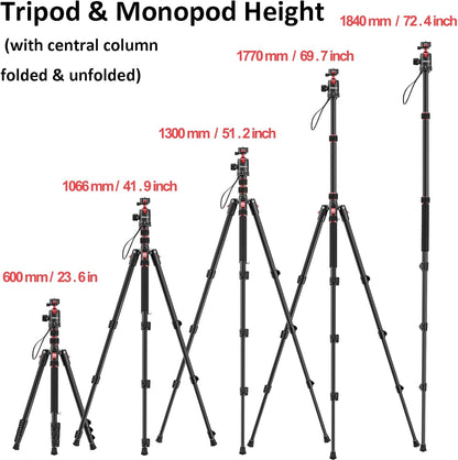 ULANZI TT31 72.4" Tripod/Monopod, 33lb Load, QR Plate, 360Â° Head for DSLR/Video