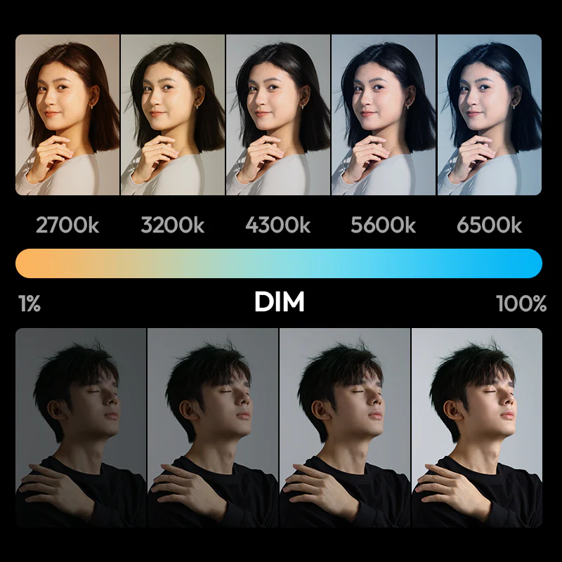 Bi-Color or RGB, Your Light, Your Way