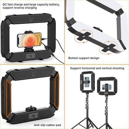 Ulanzi U200 Ring Light Video Rig